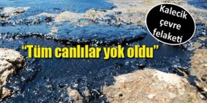 15 km’lik kıyı petrol kaplandı…