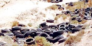 UBP’li meclis üyesine ‘çevreyi kirletmekten’ ceza…