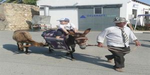 Yeniboğaziçi Eko-Gün Gezisi…