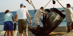 Deniz suları analiz edilecek