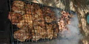 Naci Talat Ormanı’nda Piknik Keyfi