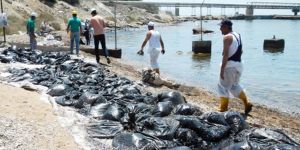 DAÜ SAGAM: Acil Eylem Planları Şart