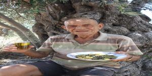 Bereketin simgesi; Zeytin