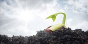 Kıbrıs Sorununda Yine Yeni Yeniden