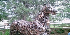 Çıkılmamış Ağaçlar