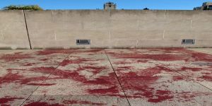 Kanla Süslenen Bir Dünya