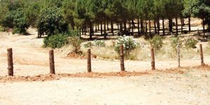 Boğaz ihalesi İPTAL