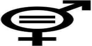 2014 YEREL YÖNETİM SEÇİMLERİ Belediye Meclis Adaylıkları için Partiler Karnesi