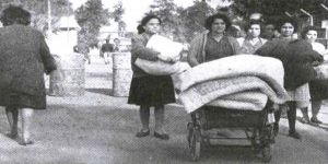 Tarihsel gerçekler ve Kıbrısrum Sağı