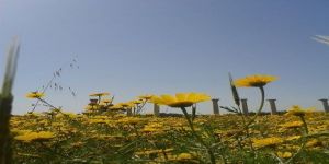 Bu 8 Mart’ın Düşündürdükleri