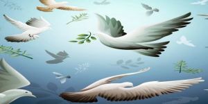 Federal Çözüm için Zeytin Dalı