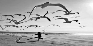 Kıbrıs’ta Yükselen Yeni Bir Umut: Mustafa Akıncı