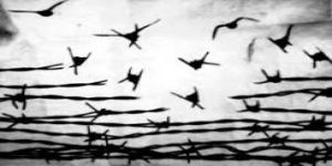 Kutlamalar Bittiyse Biraz da Bizim Meseleyi Konuşalım