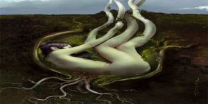 Dişilik ve Kadın olmak