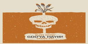 Gündemdeki Muamma: Gdo