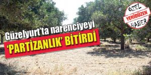 Cypfruvex yönetimine öfke