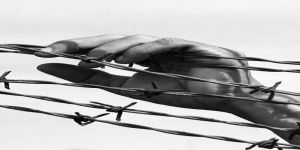 Demokrasinin İki Yüzü