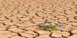 YAŞADIĞIMIZ FELAKET! –