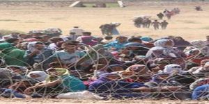 Göç sorunu ve Kadın