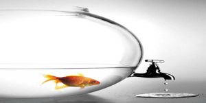 Şimdi ne yapacağız?