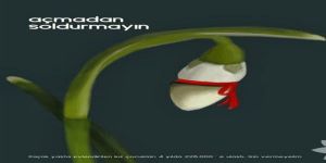 Çocuk Anneler - Dünyada ve Türkiye’de Durum