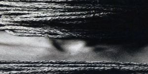 Yasama, Yürütme ve Yargının Ortak Noktası Olarak İşkenceyi Görmezden Gelme