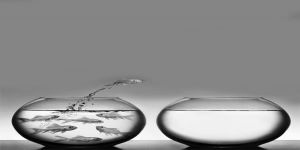 Yeni Bir Paradigma Arayışı: Adanın Kuzey Yarısında Aklın Sol Yarısı