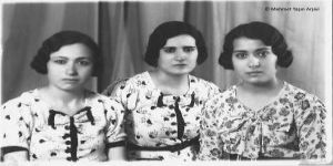 HAYATIM ROMAN BENİM – SARI KEHRİBAR’I TANIMLAMAK