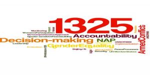 BM Güvenlik Konseyi 1325 Kararı ve Kadınların Barış Süreçlerine Katılımı