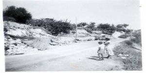 BAF HAKKINDA AKLIMDA KALAN SON BİLGİ KIRINTILARI-24-