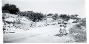 Baf hakkında aklımda kalan son bilgi kırıntıları-24-