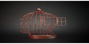 Muhafazakâr Blok İçinde Soft-Line Hard-Line Ayrışması