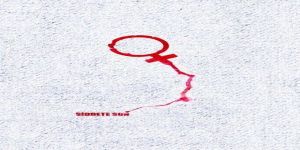 2016 Kadına Yönelik Şiddetle Mücadele Bilançosu