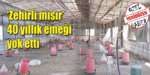 “Bizi imha ettiler!”