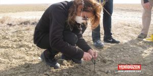 Tarımda bir ilk: Arıtma çamuru