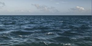 YILLARDIR HEP FİGÜRANIZ…