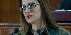 Derya: 'Yenilenebilir' ayrıcalık