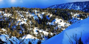 Trodos’ta kış başkadır