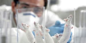 Gençlik iksiri bulundu mu?