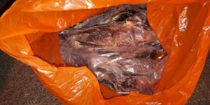 ‘Kaçak et’ korkutucu boyutlarda…