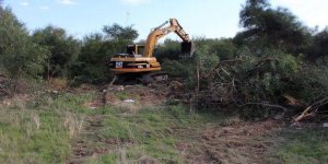 Gençler katledilen koruluğa sahip çıktı!