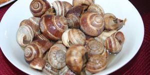 Kıbrıs Mutfağında Garavolli