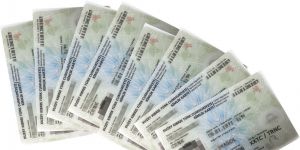 9 YENİ YURTTAŞ DAHA!