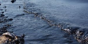 Deniz kirlenmesine karşı ulusal plan