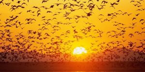 Şiirlerle büyüsün çocuklar