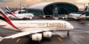 Uçaktan yılan çıktı!