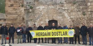 "Tarihi hamamlara sahip çıkılmalı”