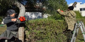 Lefkoşa’nın parkları bakımdan geçiyor