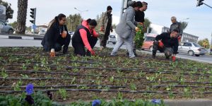 Lefkoşa  renklenecek