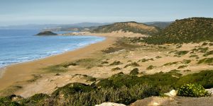 Dayanışma’dan eylem uyarısı